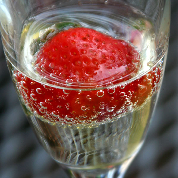 sunportraits.com | Todd S. Hale